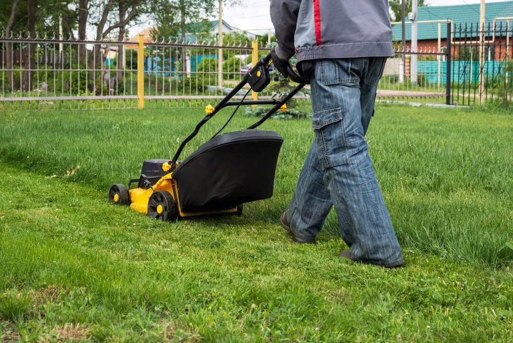 Lawn Service Near Me in Grosse Pointe Woods, MI | Paradise Garden Landscaping